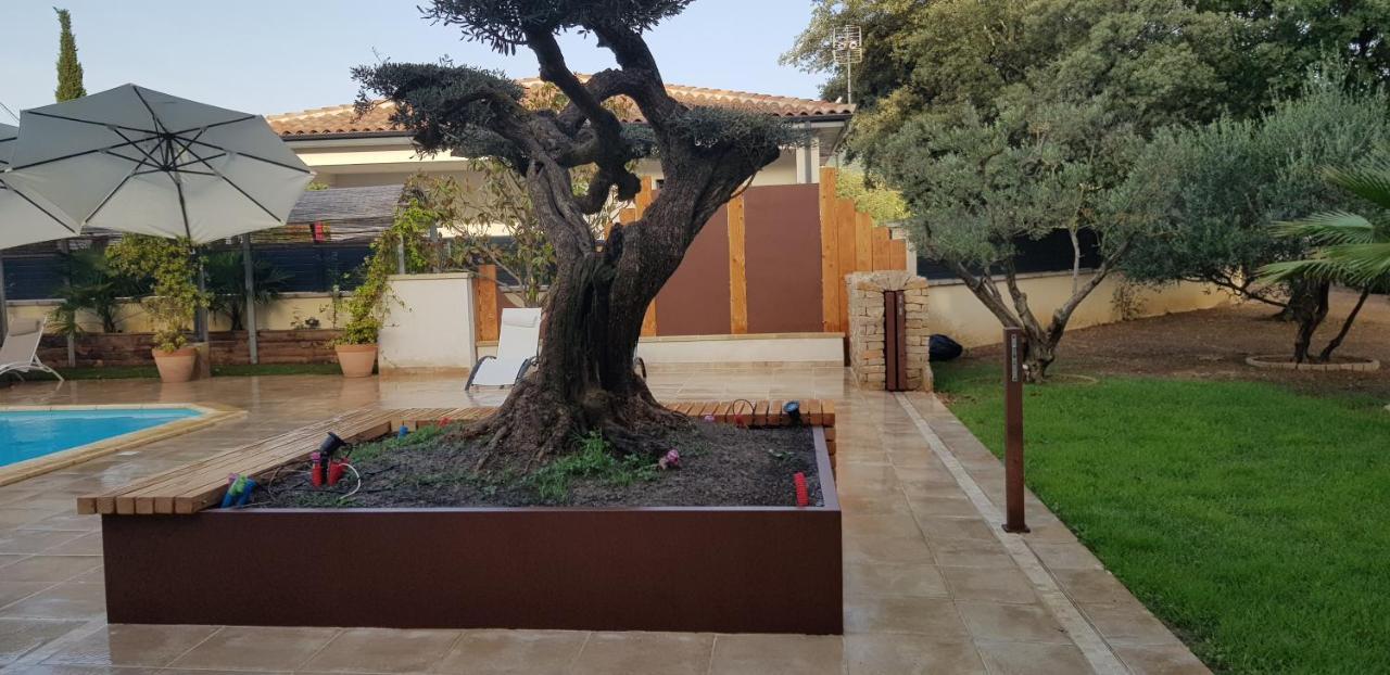 Les Gites De L'Arbousier Quissac (Gard) Exterior foto
